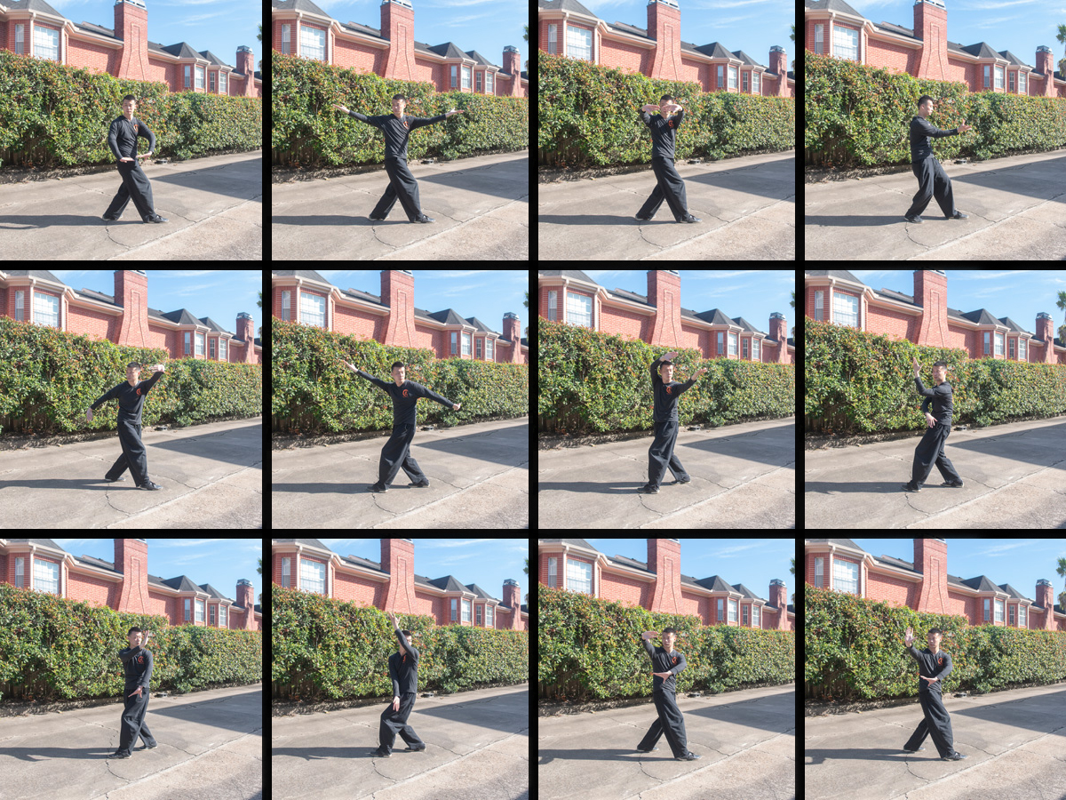 12 Mother Postures for Bagua Circle Walking Training